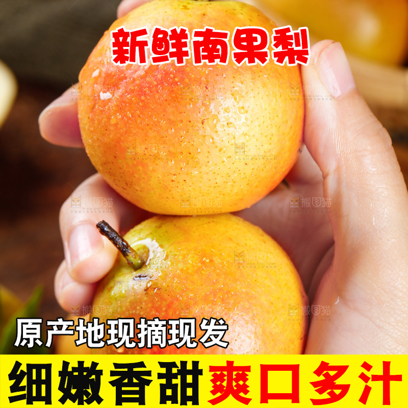 南果梨