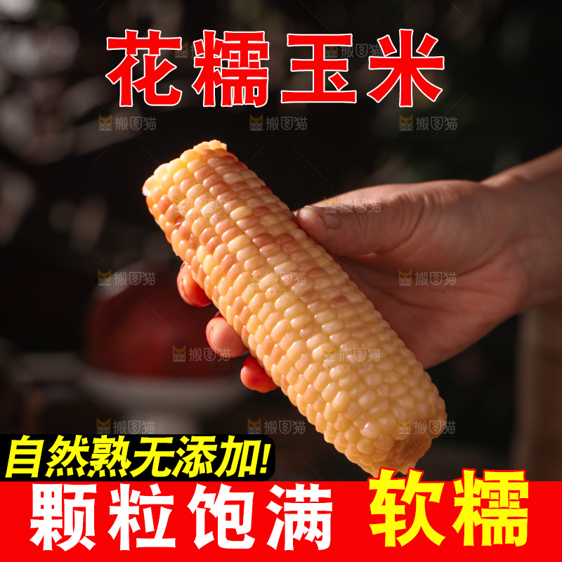花糯玉米