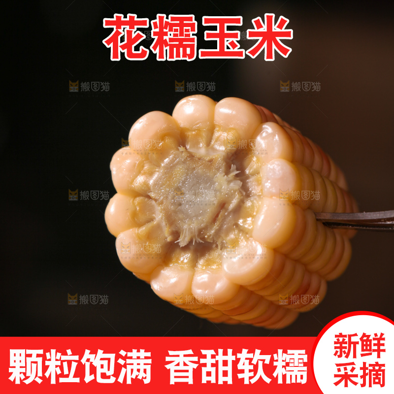 花糯玉米