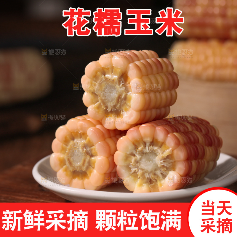 花糯玉米