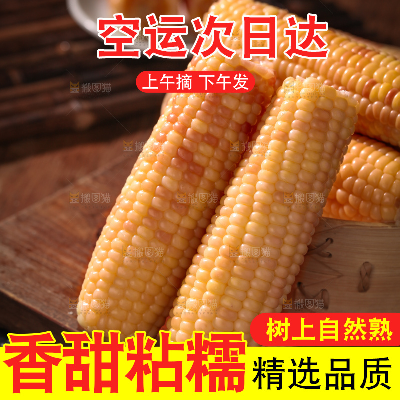 花糯玉米