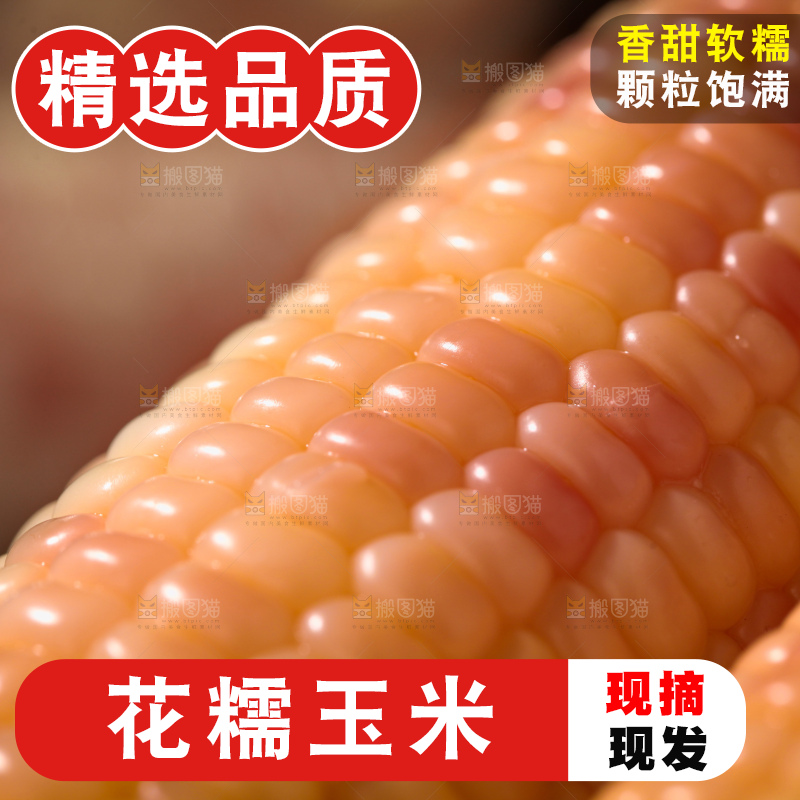 花糯玉米
