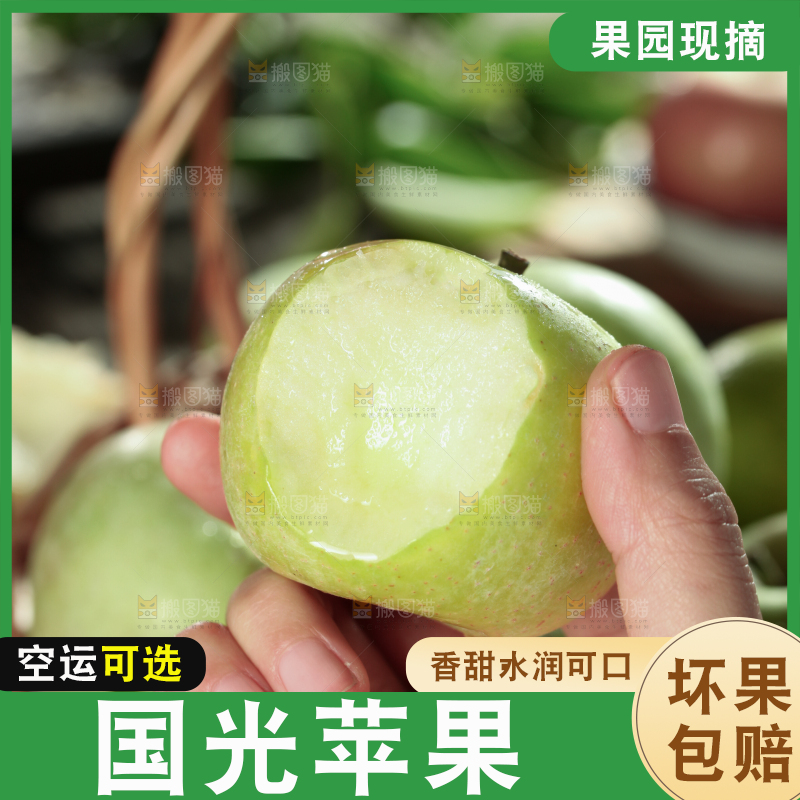 国光苹果