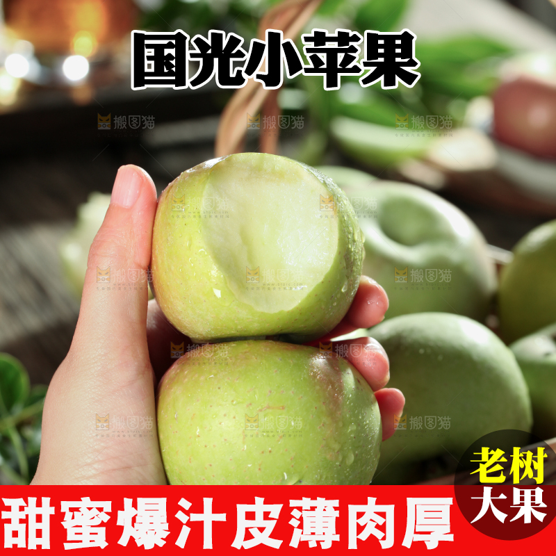 国光苹果