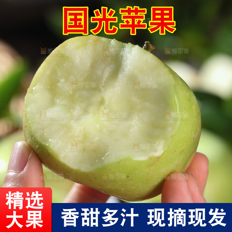 国光苹果