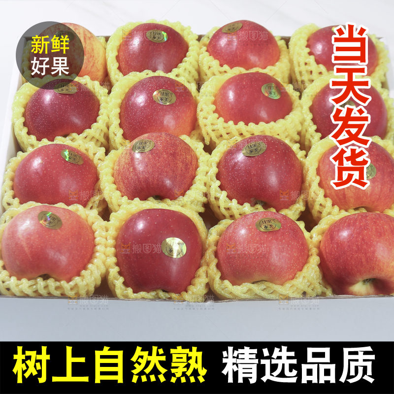 秦冠苹果