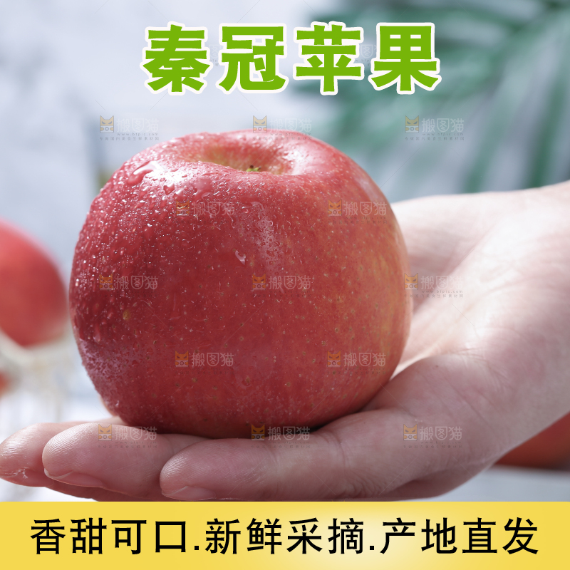 秦冠苹果