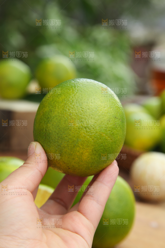 皇帝柑