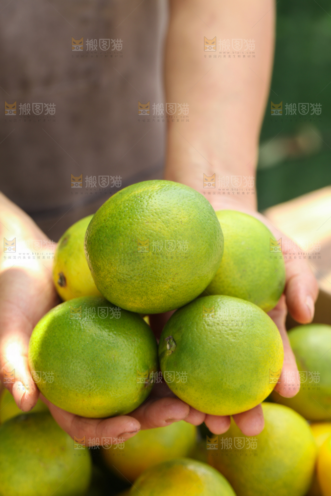 皇帝柑