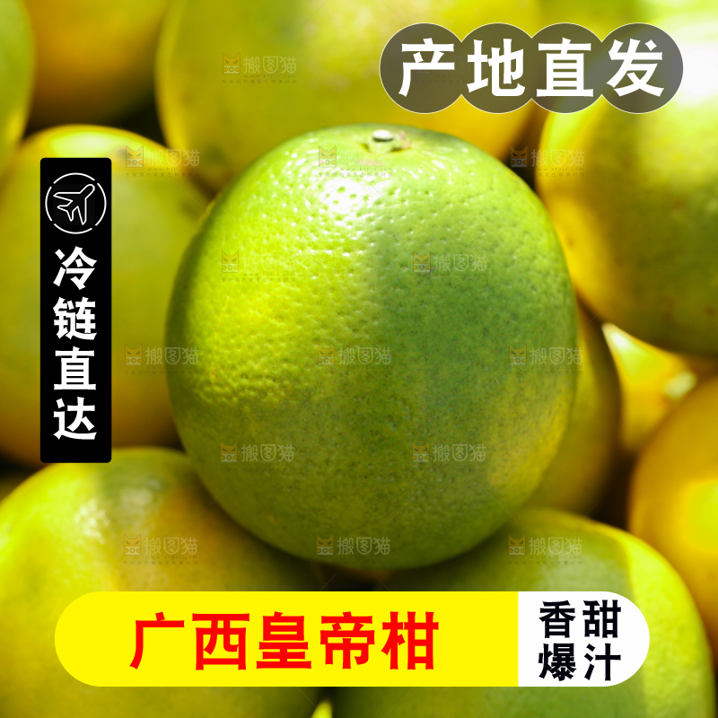 皇帝柑