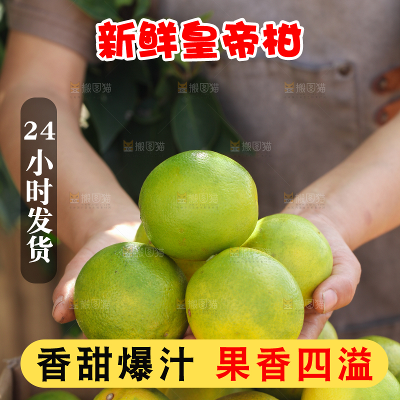 皇帝柑