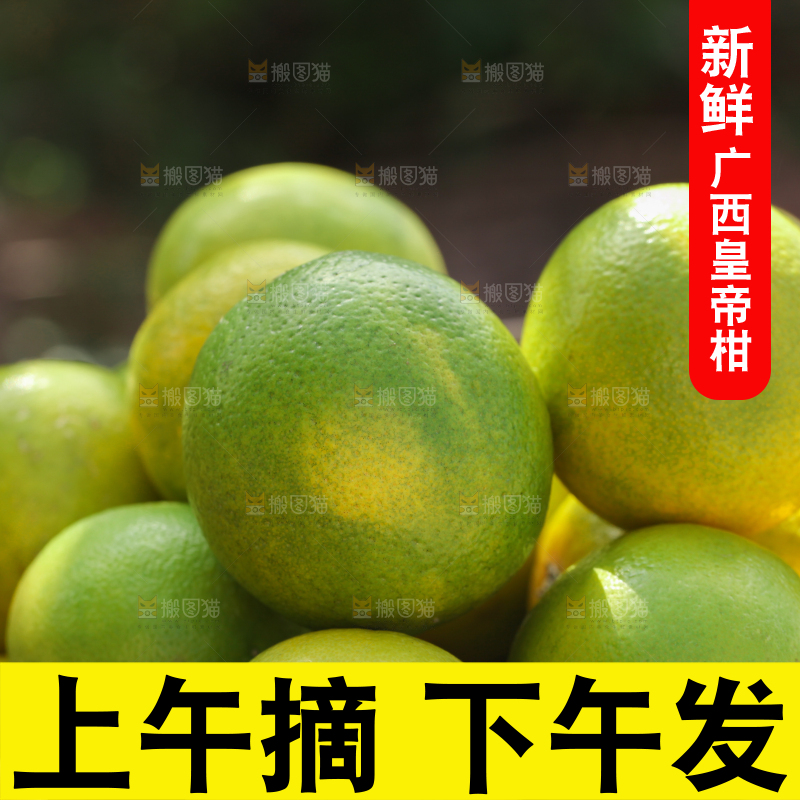 皇帝柑