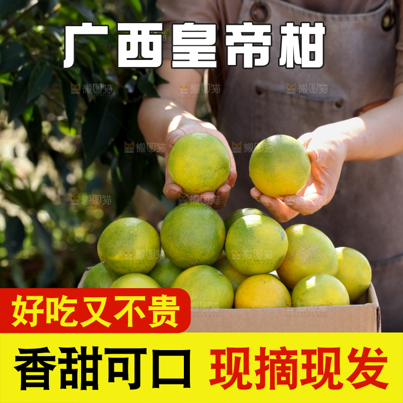 皇帝柑