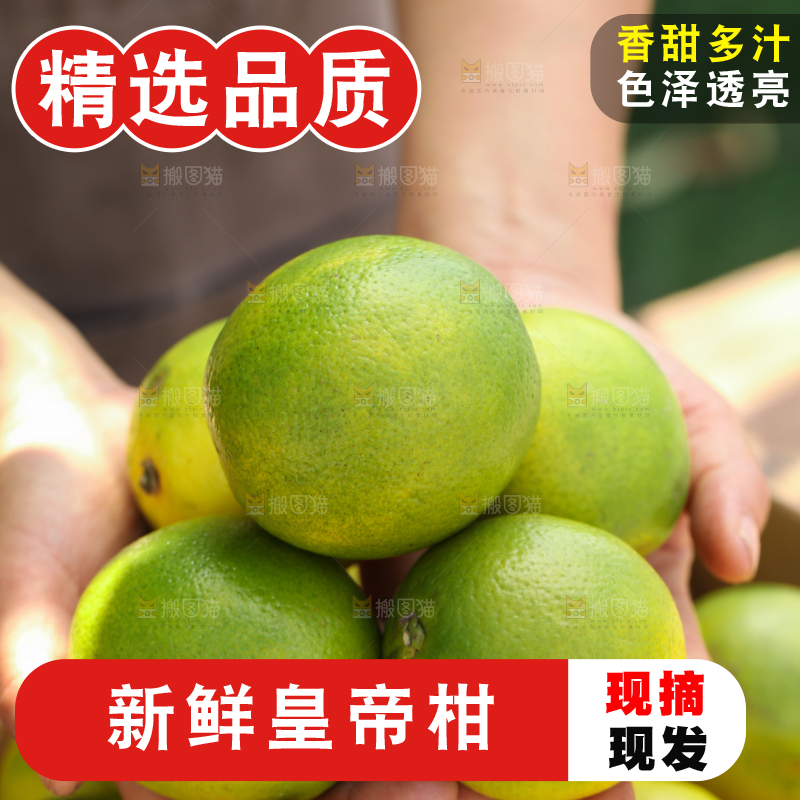 皇帝柑