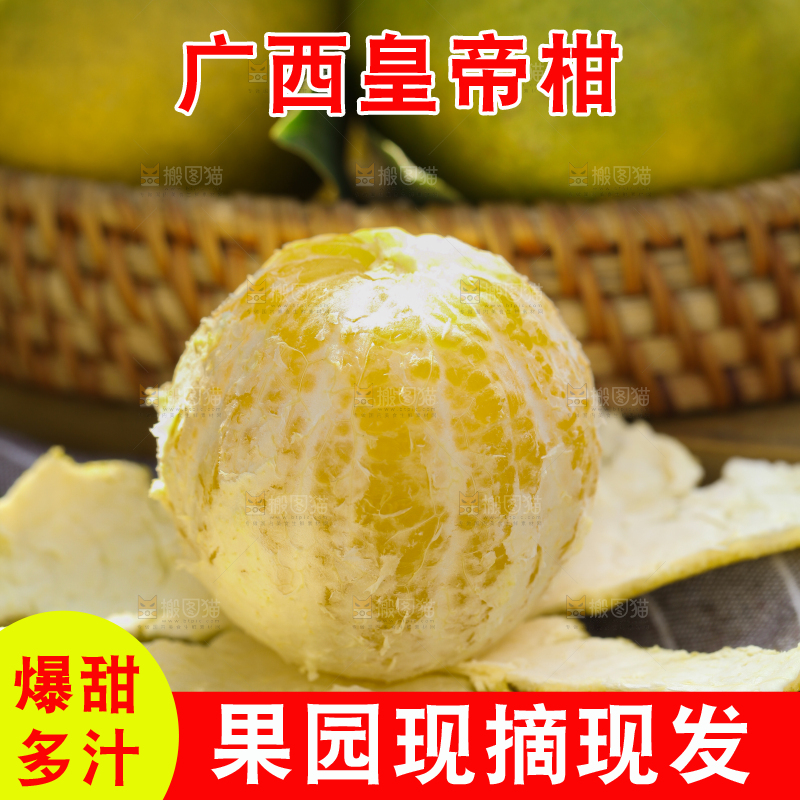 皇帝柑