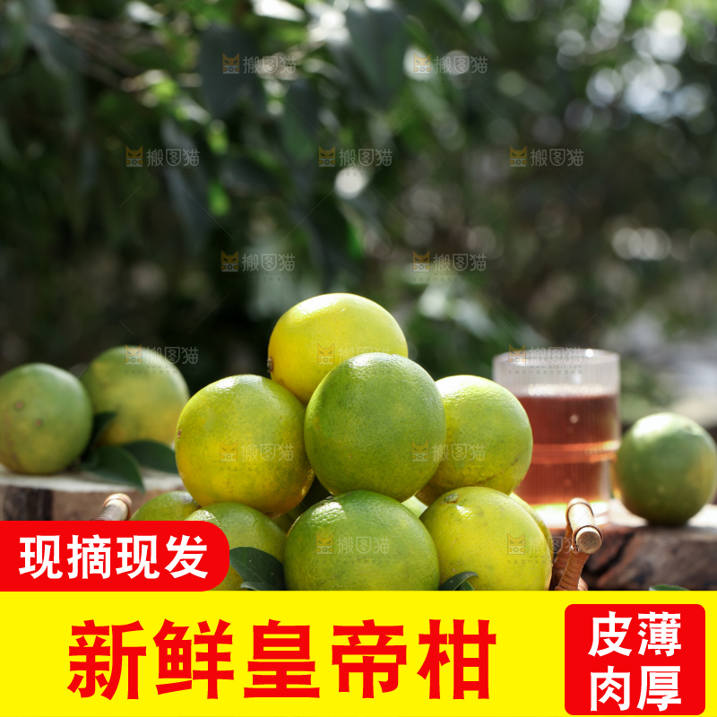 皇帝柑