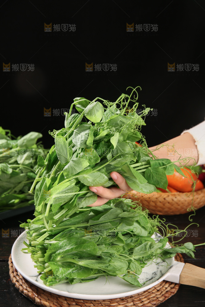 豌豆尖