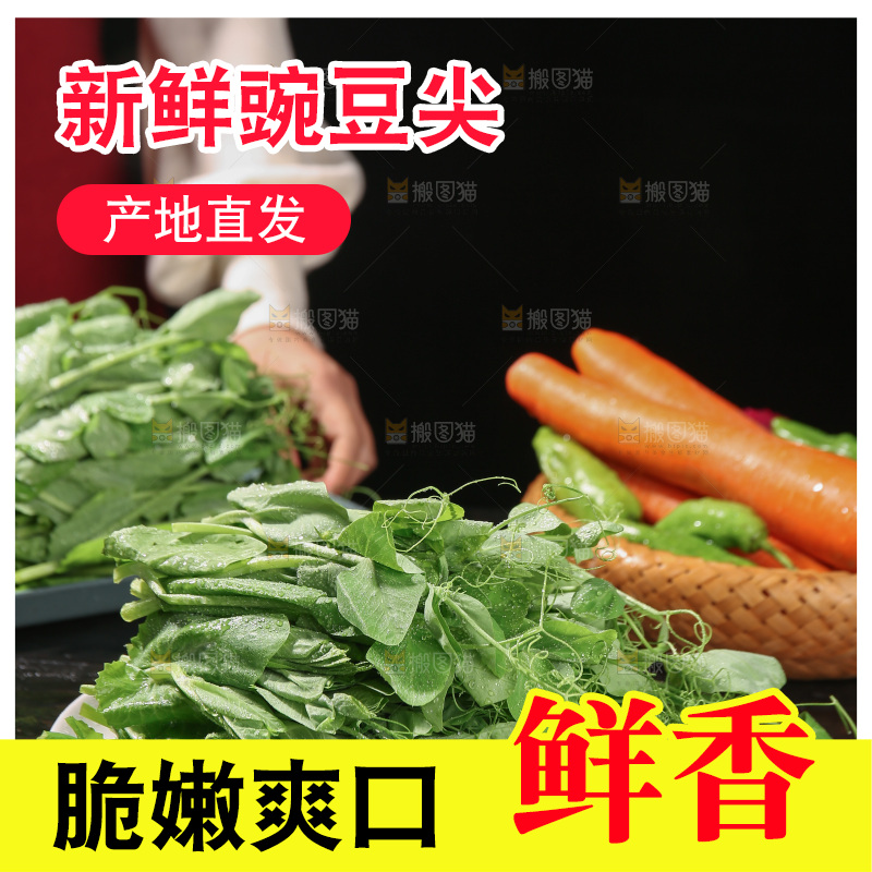豌豆尖