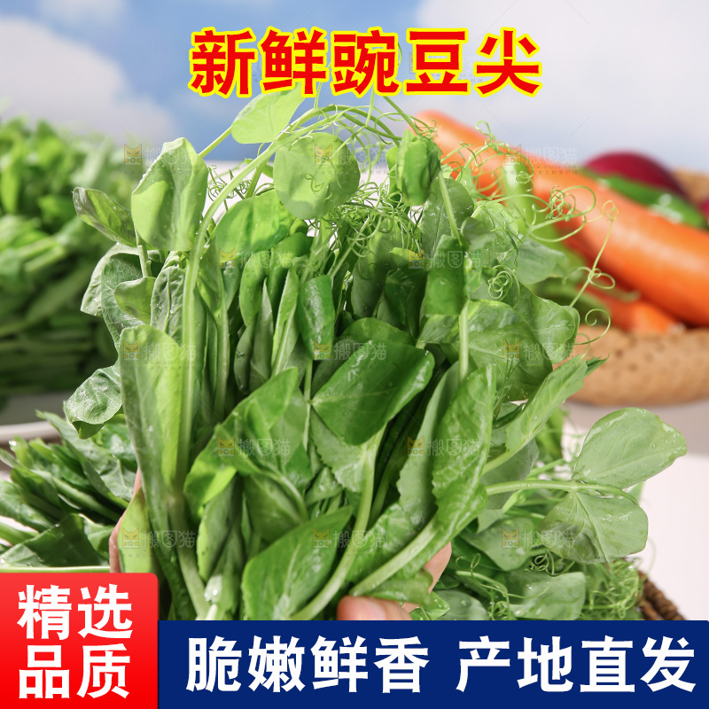 豌豆尖