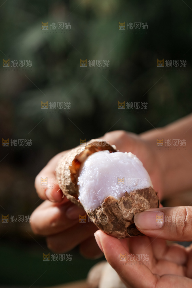 牛奶小芋头