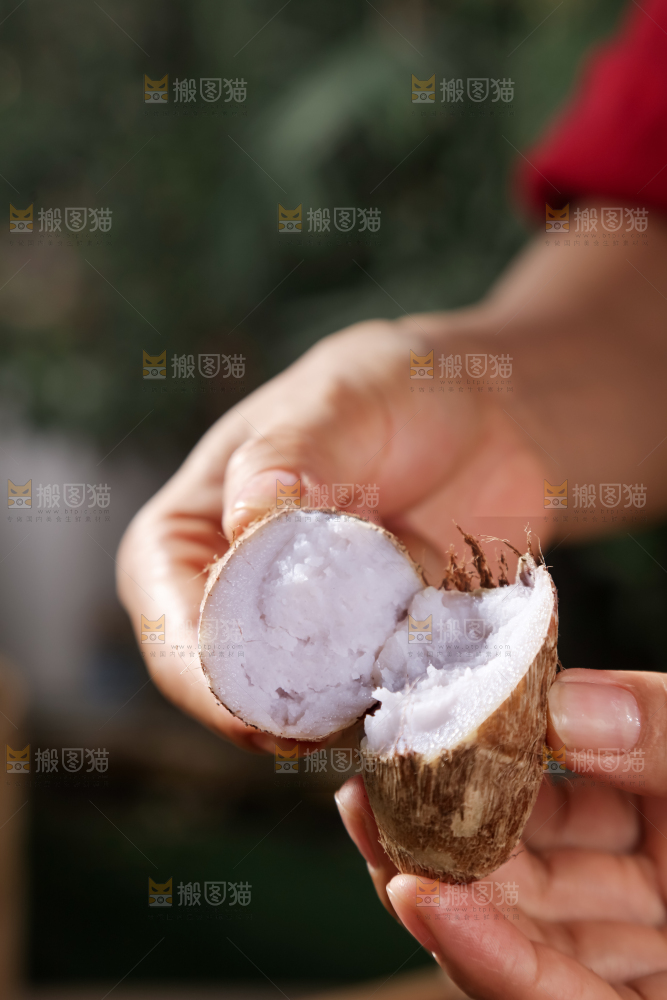 牛奶小芋头
