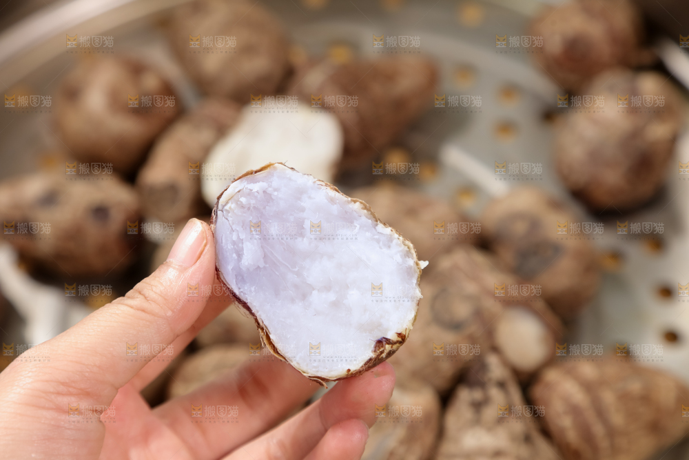 牛奶小芋头