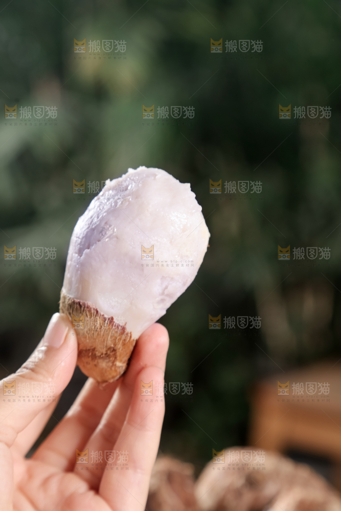 牛奶小芋头