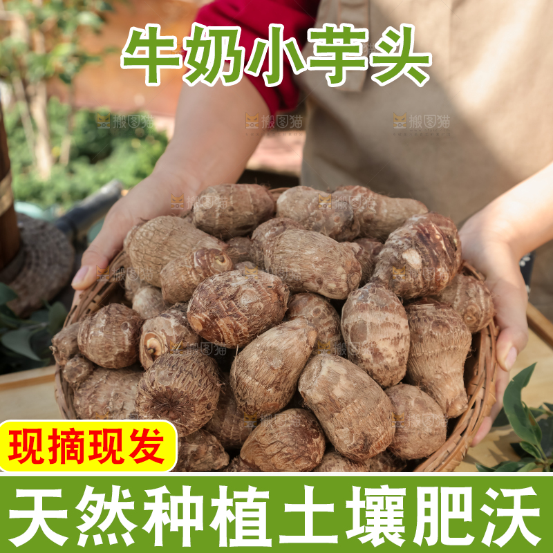 牛奶小芋头