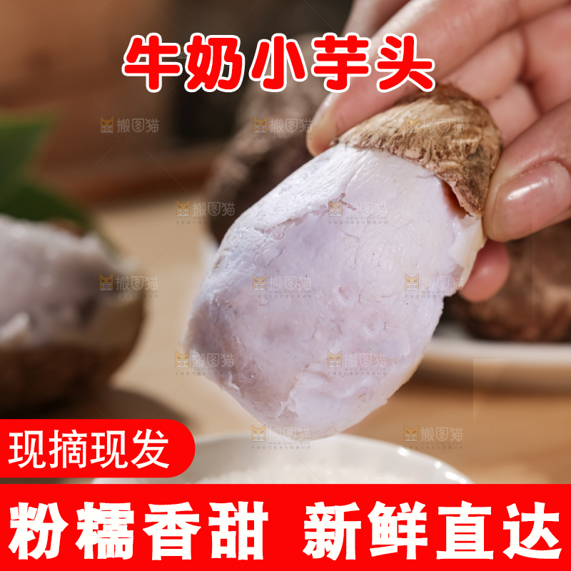 牛奶小芋头