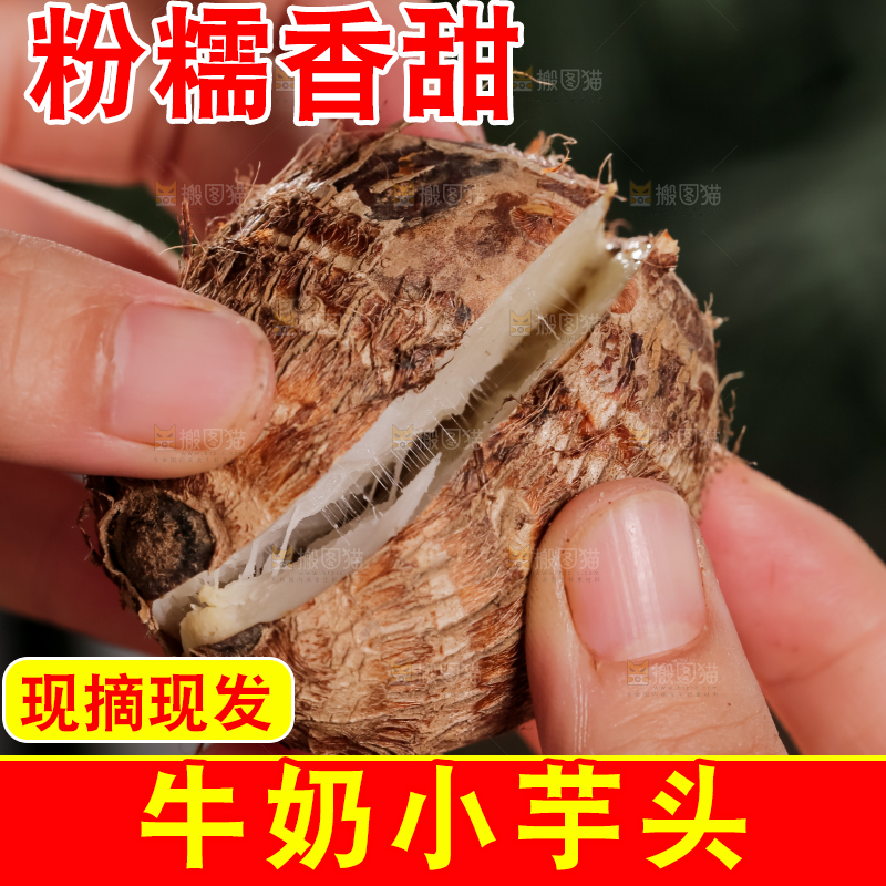 牛奶小芋头