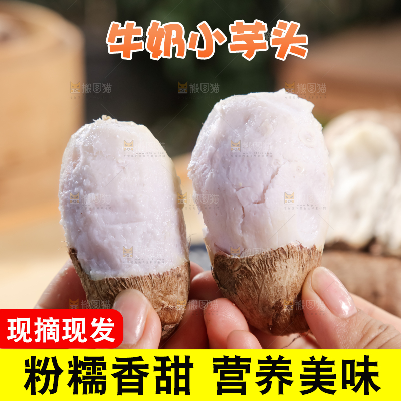 牛奶小芋头