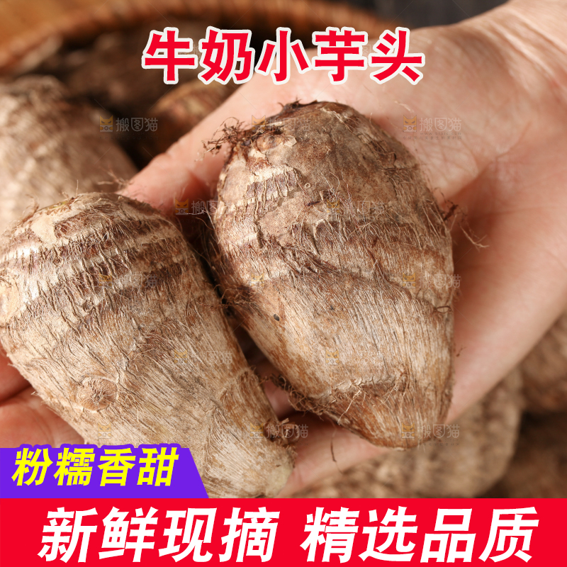 牛奶小芋头