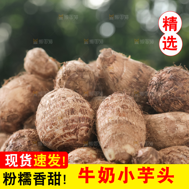 牛奶小芋头