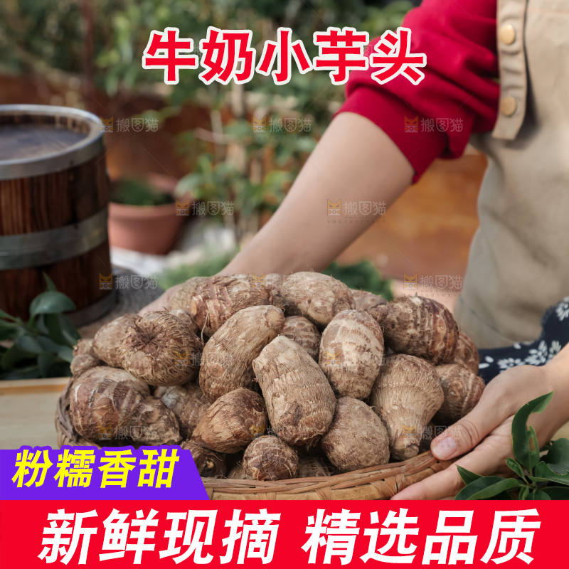 牛奶小芋头