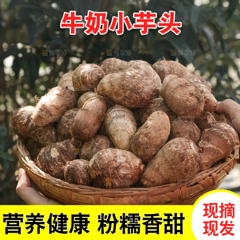 牛奶小芋头