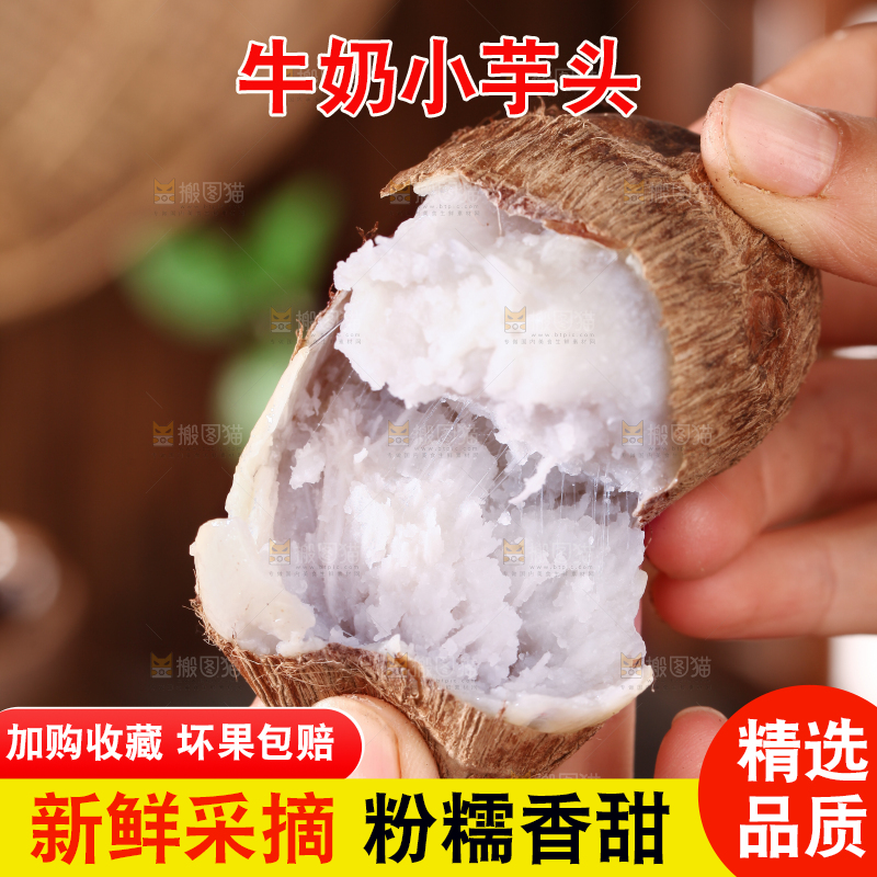 牛奶小芋头