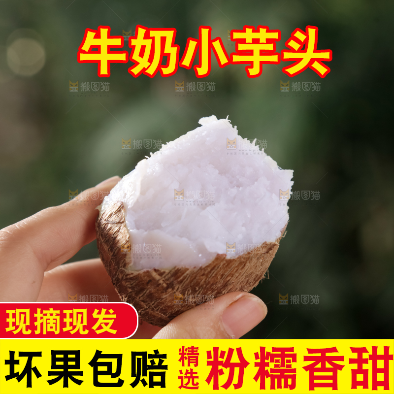 牛奶小芋头