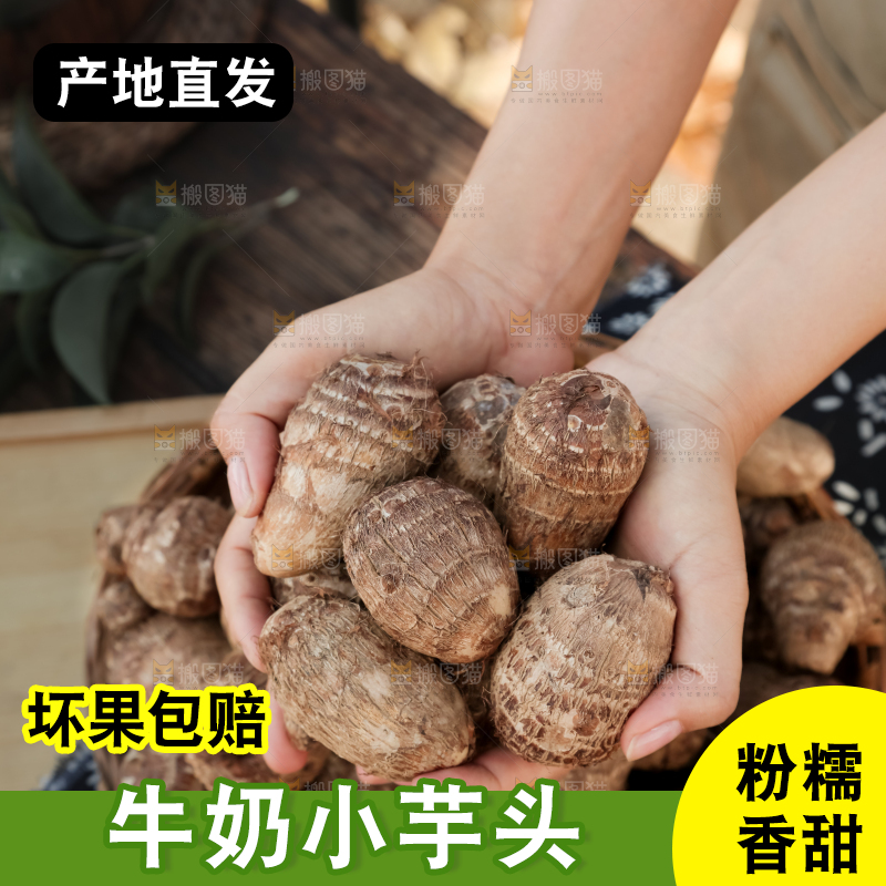 牛奶小芋头