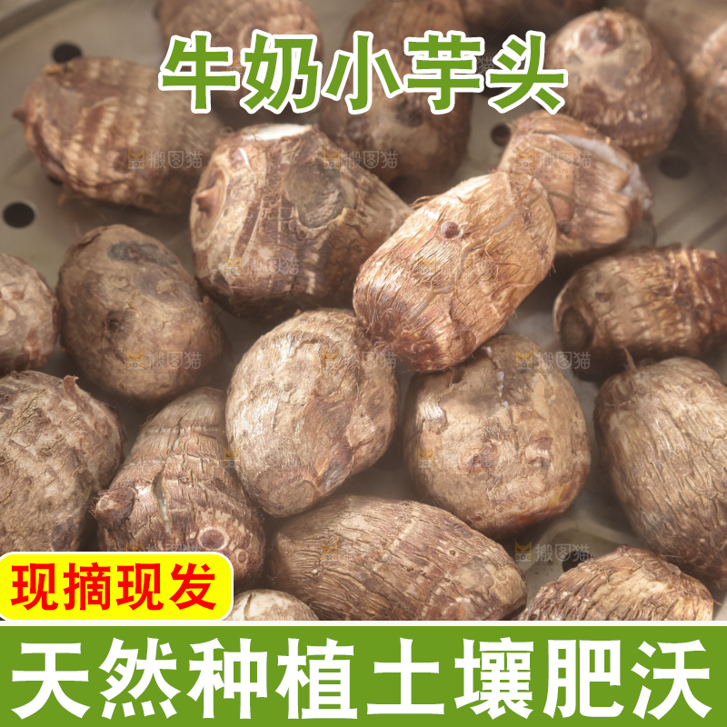 牛奶小芋头