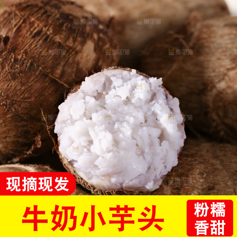 牛奶小芋头