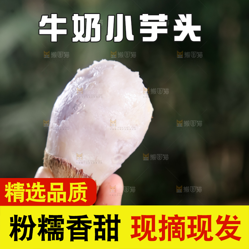 牛奶小芋头