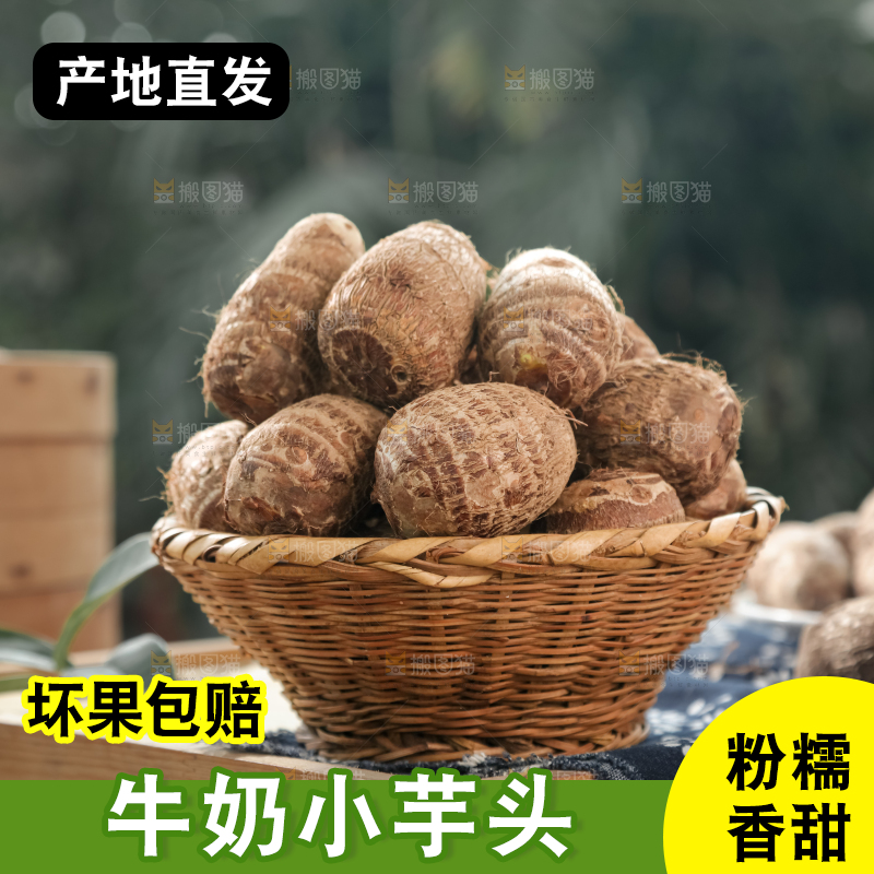 牛奶小芋头