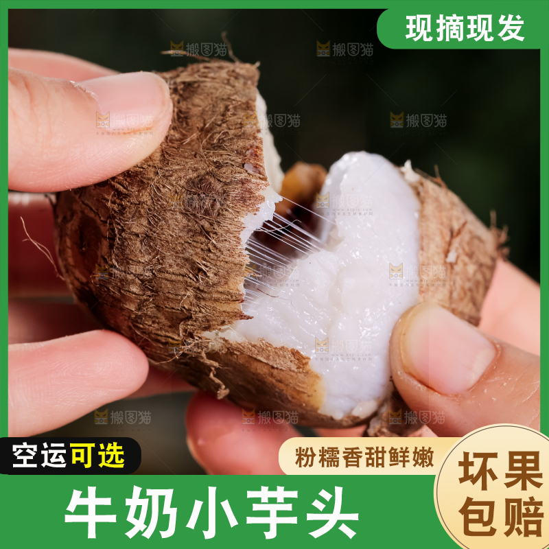 牛奶小芋头