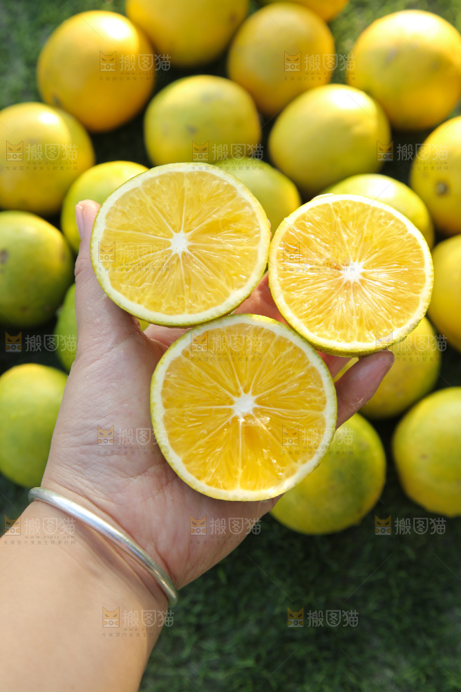 皇帝柑