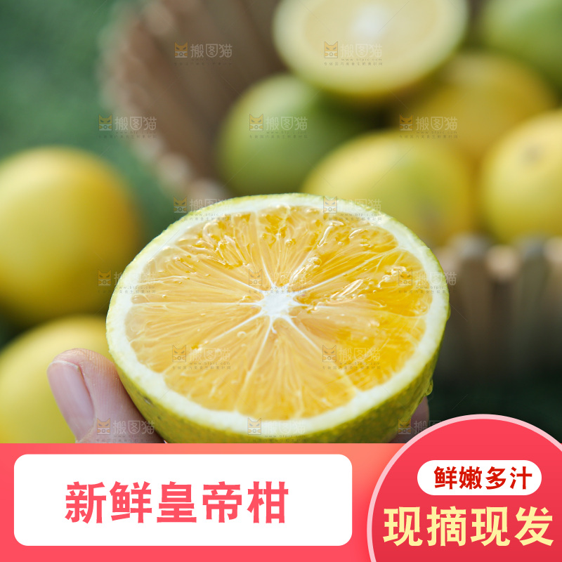 皇帝柑