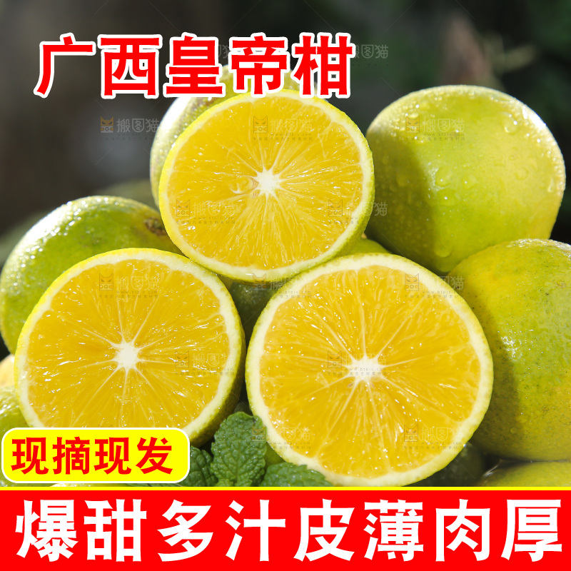 皇帝柑