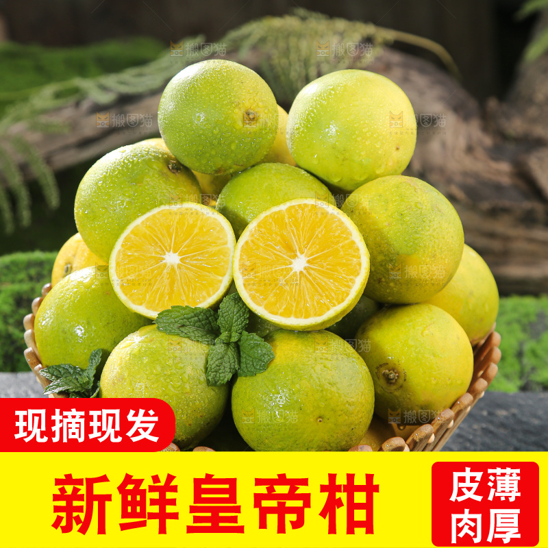 皇帝柑
