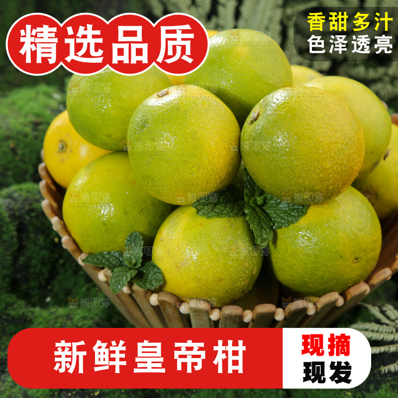 皇帝柑