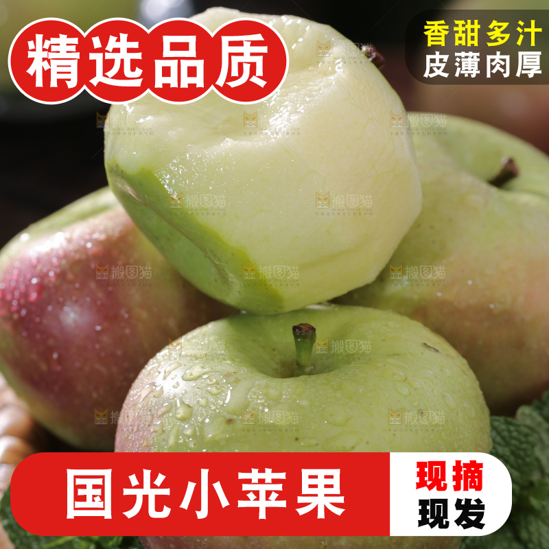 国光苹果
