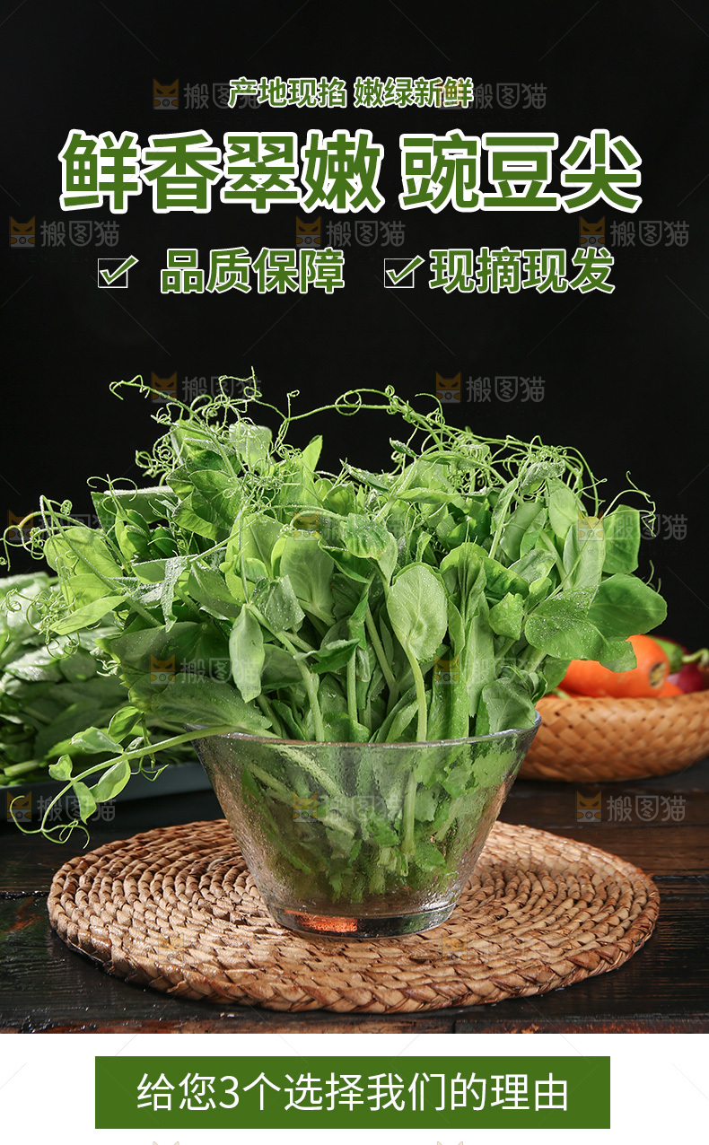 豌豆苗详情页